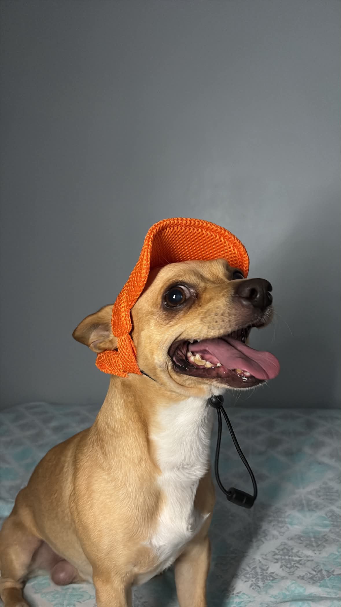 Gorra Transpirable Urban Mesh - Darcy & Nina