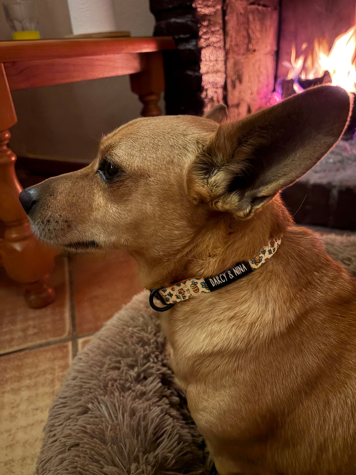 Collar Honey Bloom - Darcy & Nina