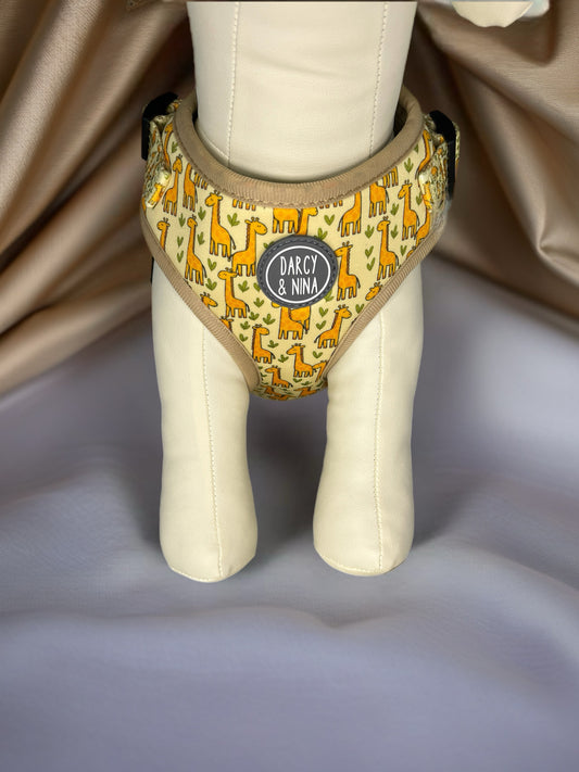 Pack Safari Giraffe - Darcy & Nina