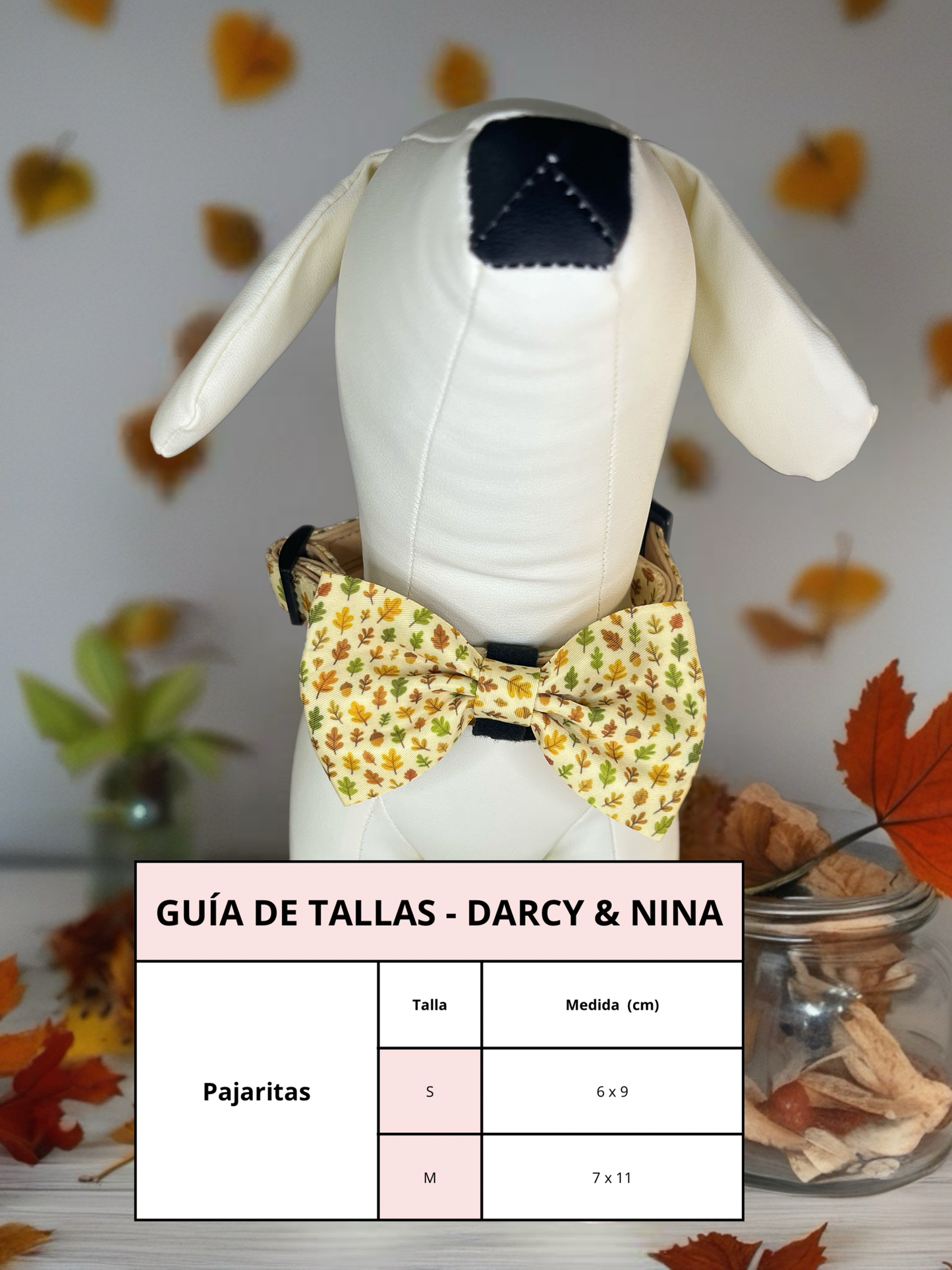 Pajarita Autumn Walk - Darcy & Nina
