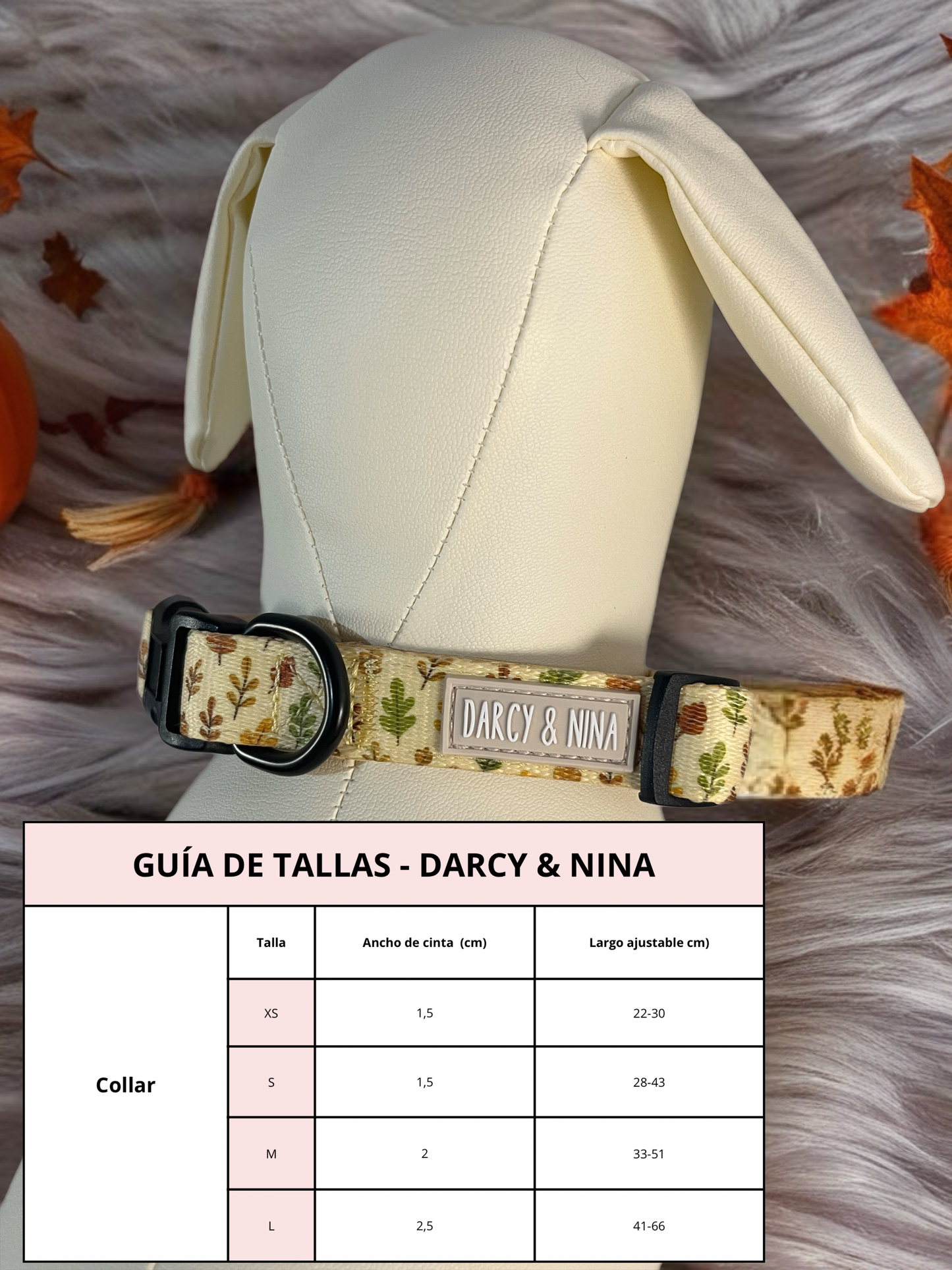 Collar Autumn Walk - Darcy & Nina