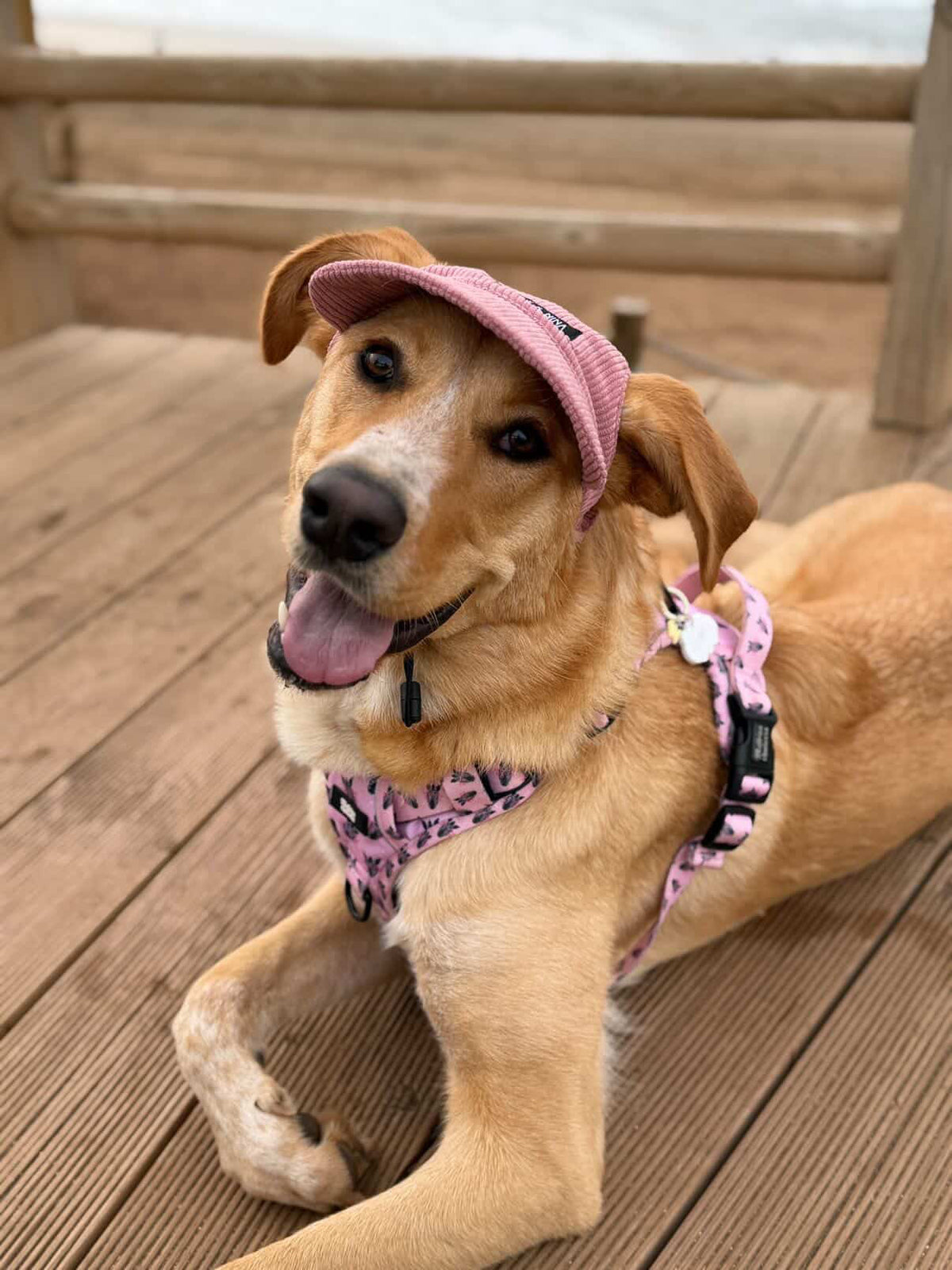 Gorra Pana Sweet Love - Darcy & Nina