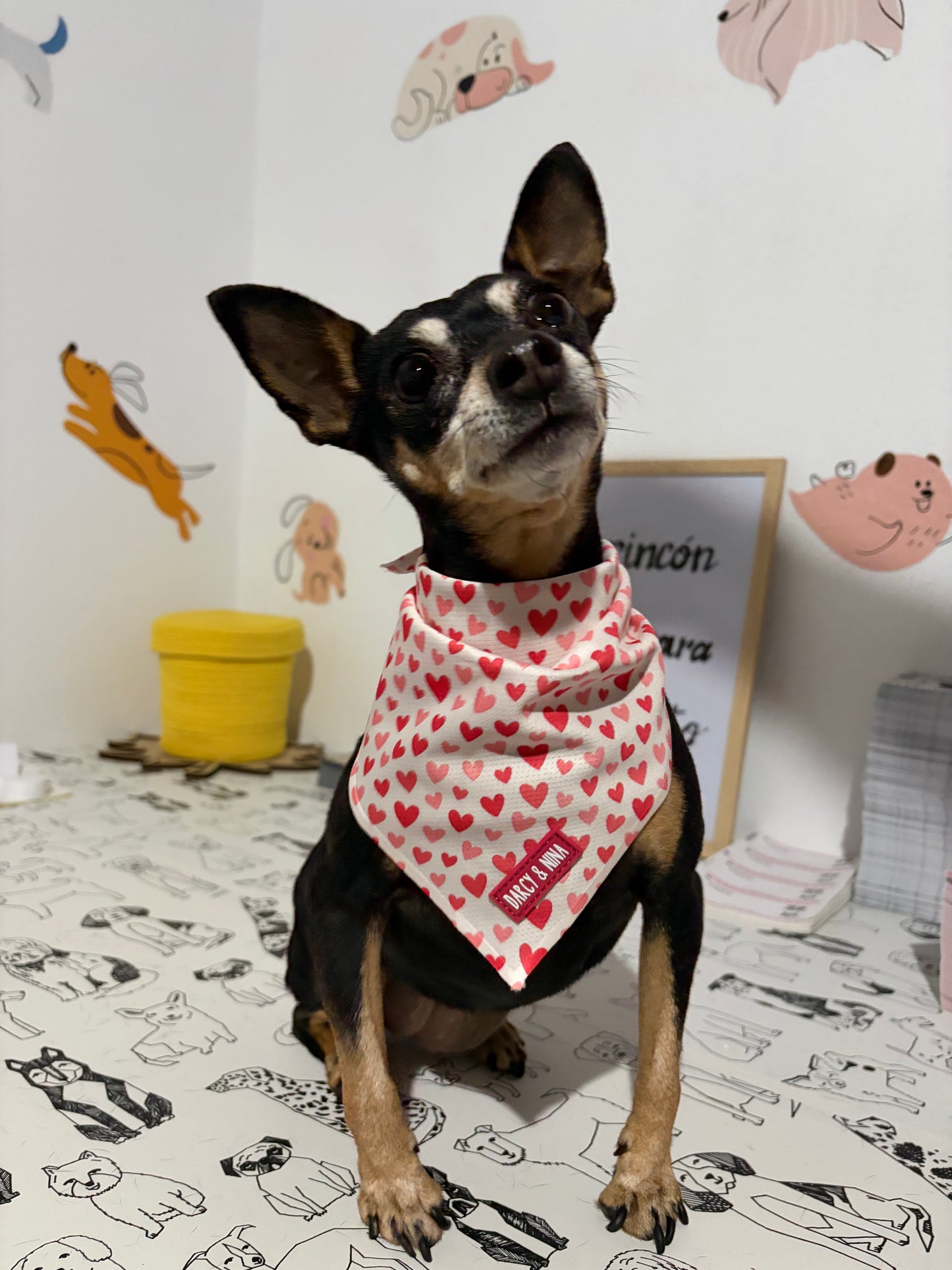 Bandana Sweet Love - Darcy & Nina