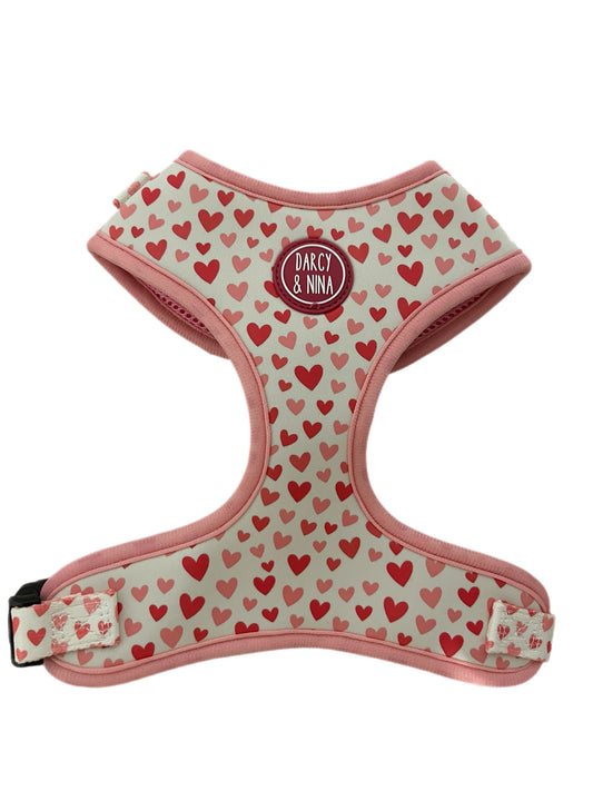 Arnés Sweet Love - Darcy & Nina