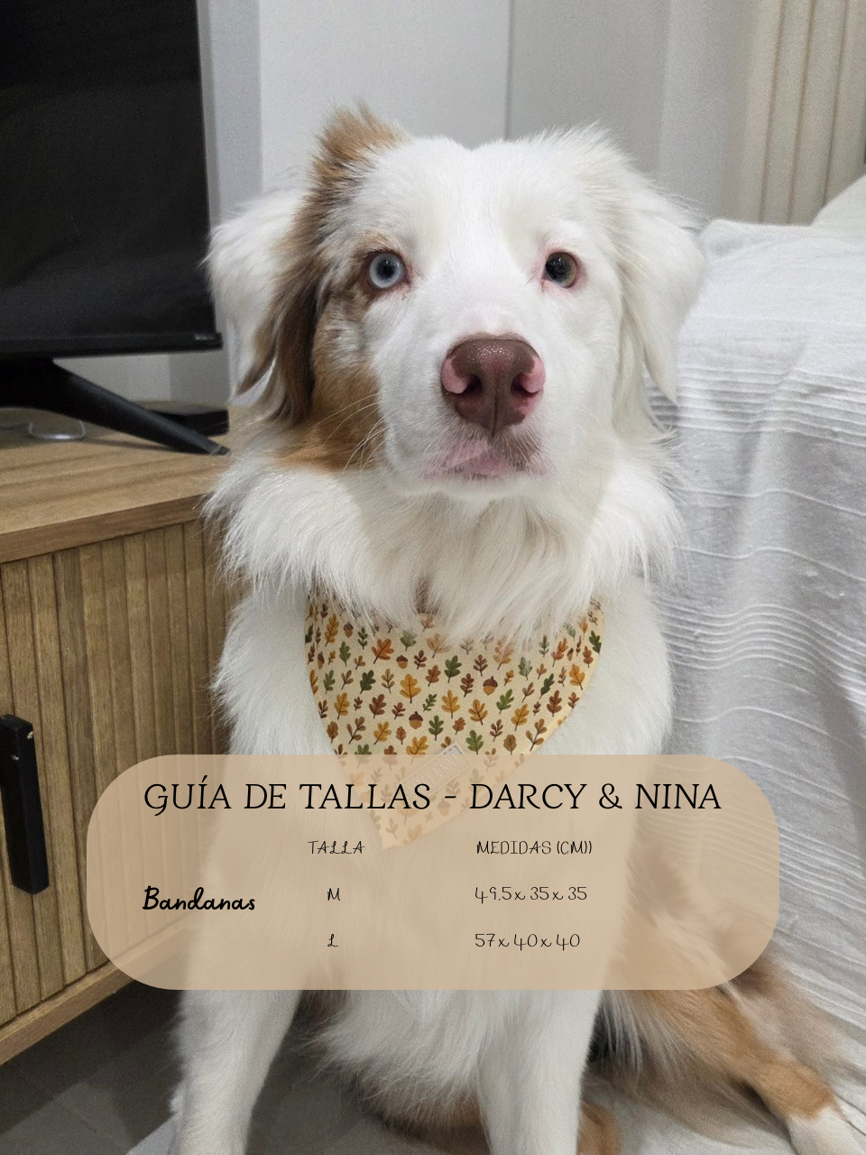 Bandana Autumn Walk - Darcy & Nina