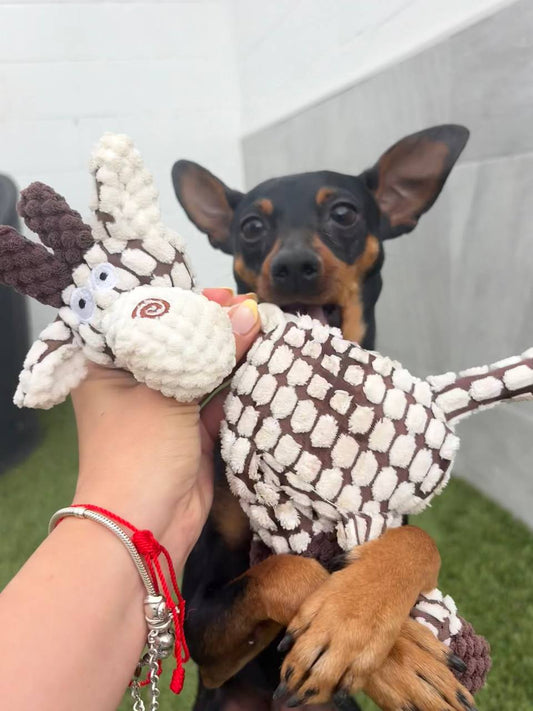 Jirafa Sweet Play con sonido 🦒
