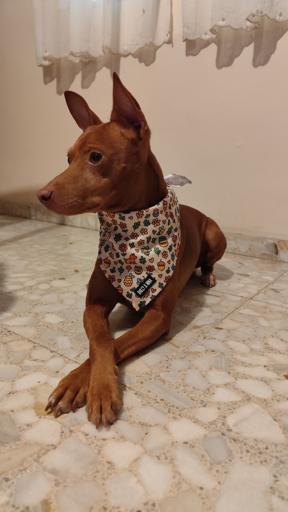 Bandana Honey Bloom - Darcy & Nina