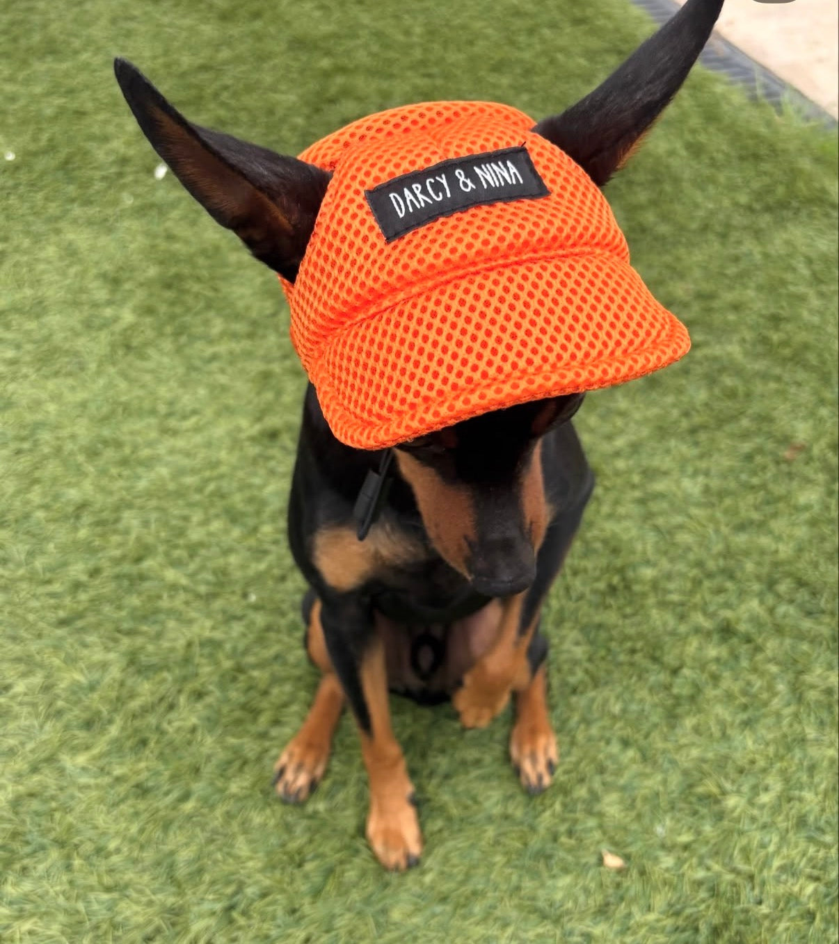 Gorra Transpirable Urban Mesh