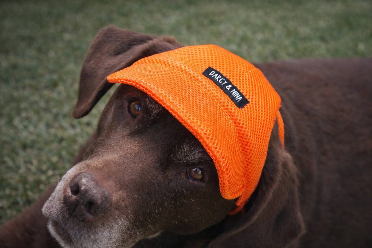 Gorra Transpirable Urban Mesh
