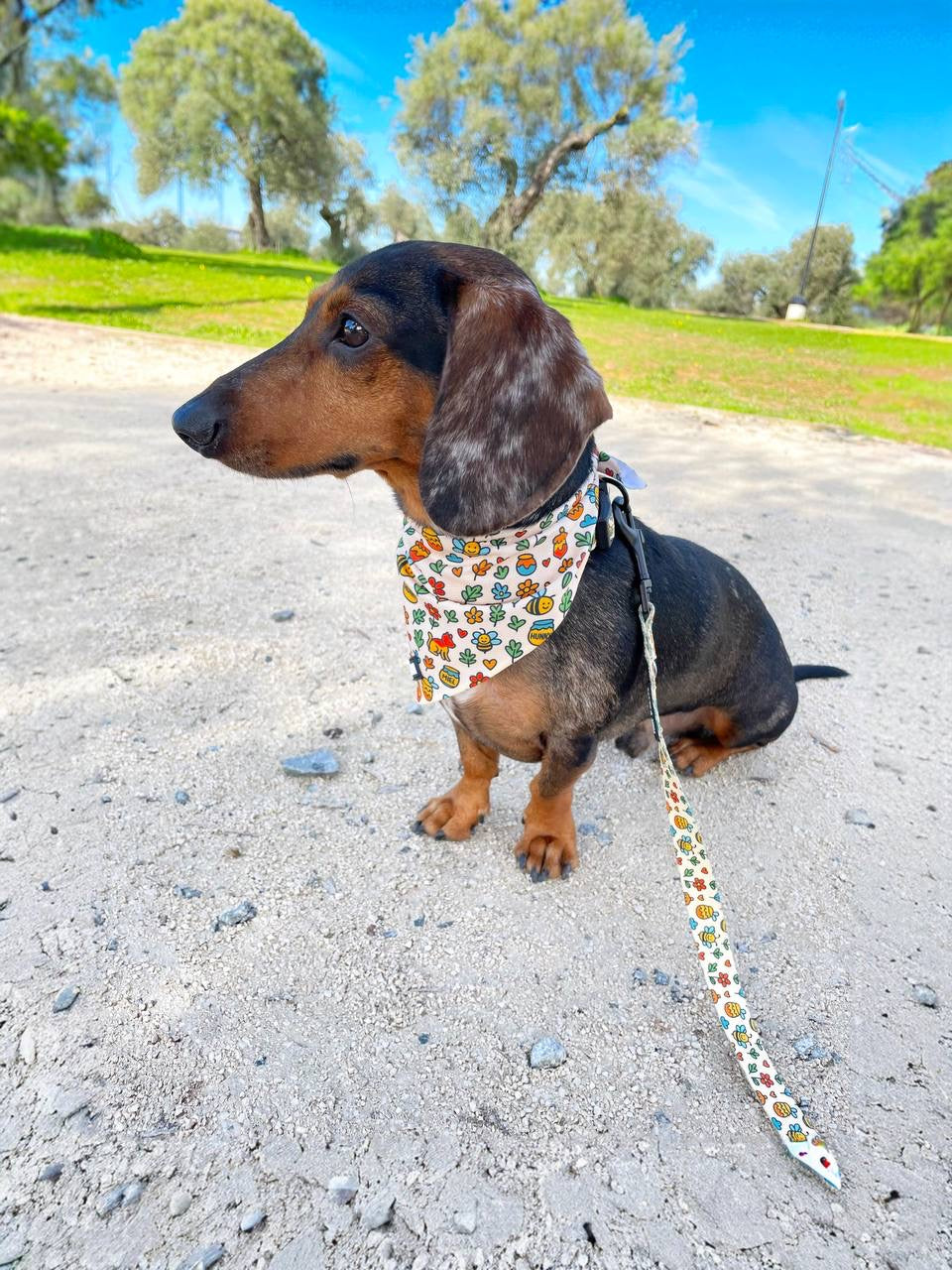 Bandana Honey Bloom - Darcy & Nina