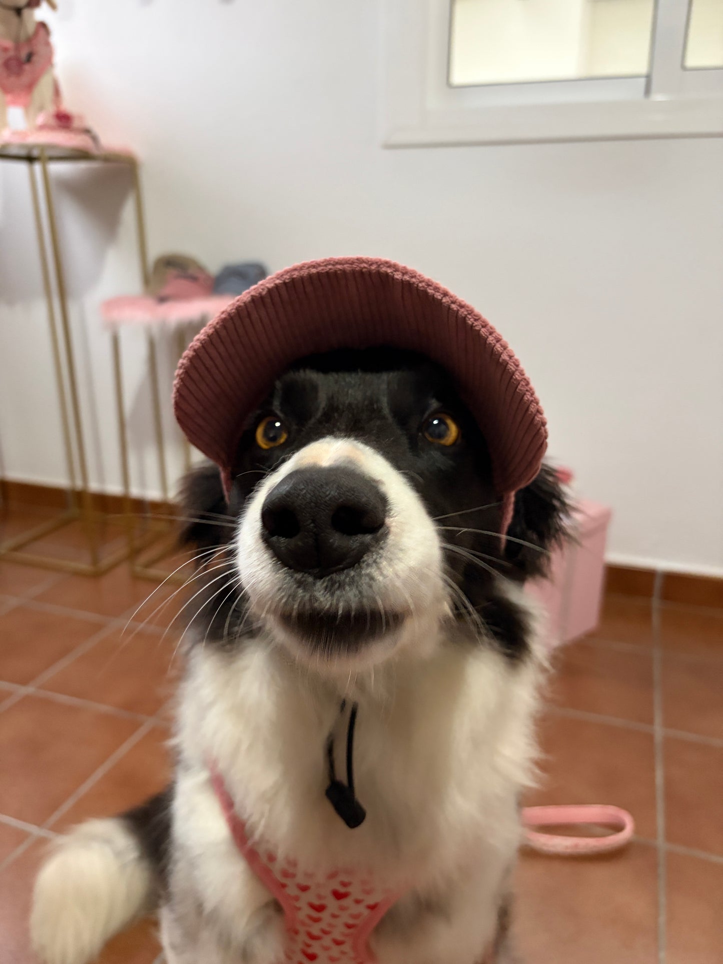 Gorra Sweet Love - Darcy & Nina