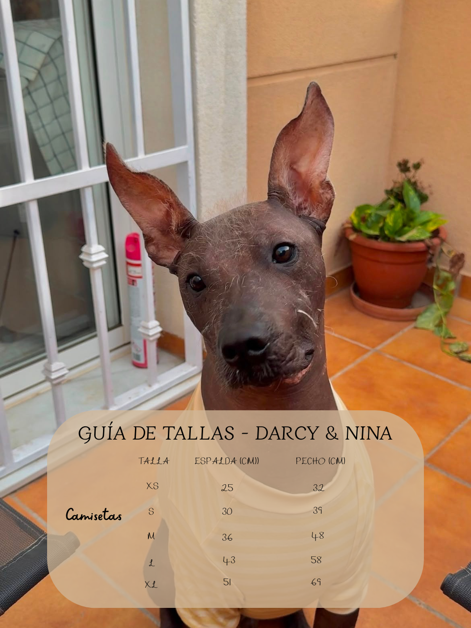 Camiseta Sunny Stripes - Darcy & Nina