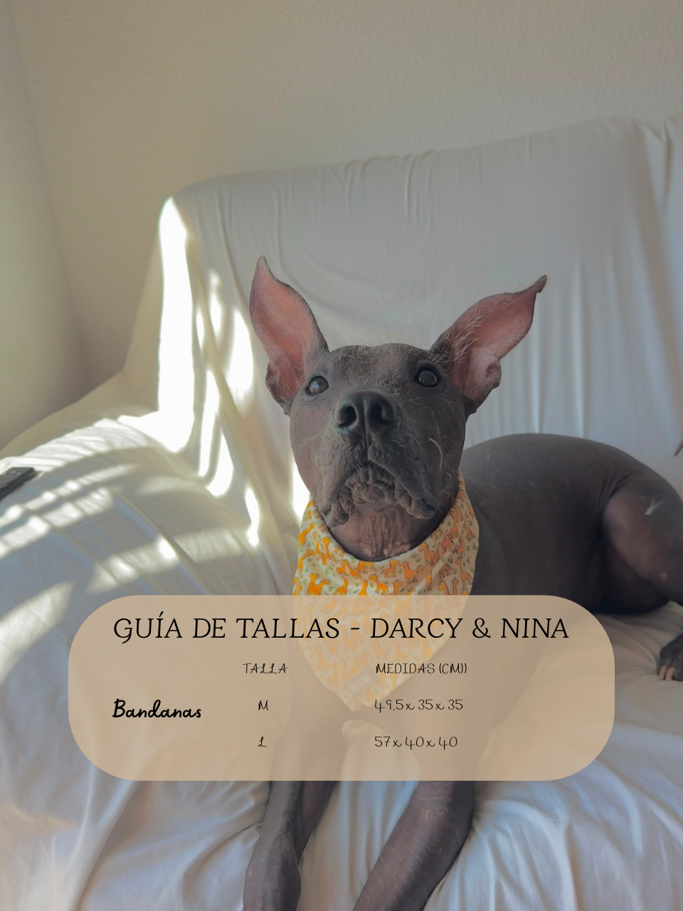 Bandana Safari Giraffe - Darcy & Nina