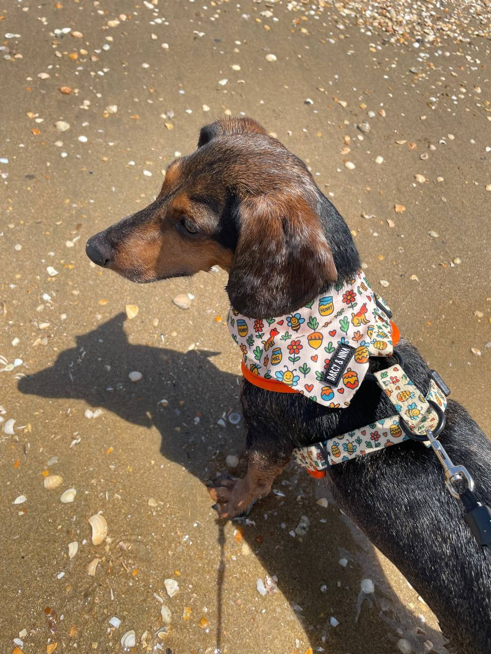 Bandana Honey Bloom - Darcy & Nina