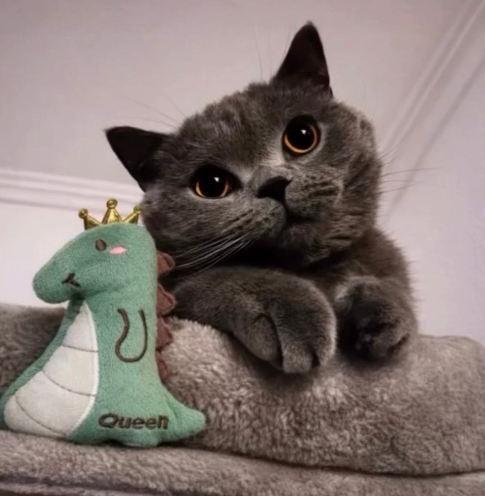 Dino Queen Catnip 👑🦖