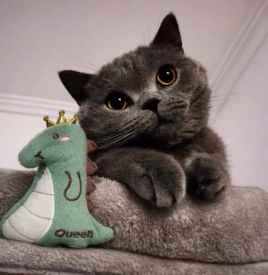 Dino Queen Catnip 👑🦖