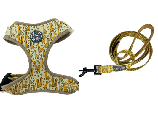 Pack Arnés + Correa • Regalo incluido