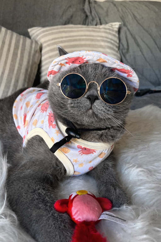 Sombrerito Cangrejitos Verano