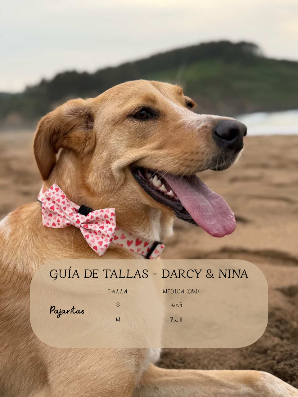 Pajarita Sweet Love - Darcy & Nina