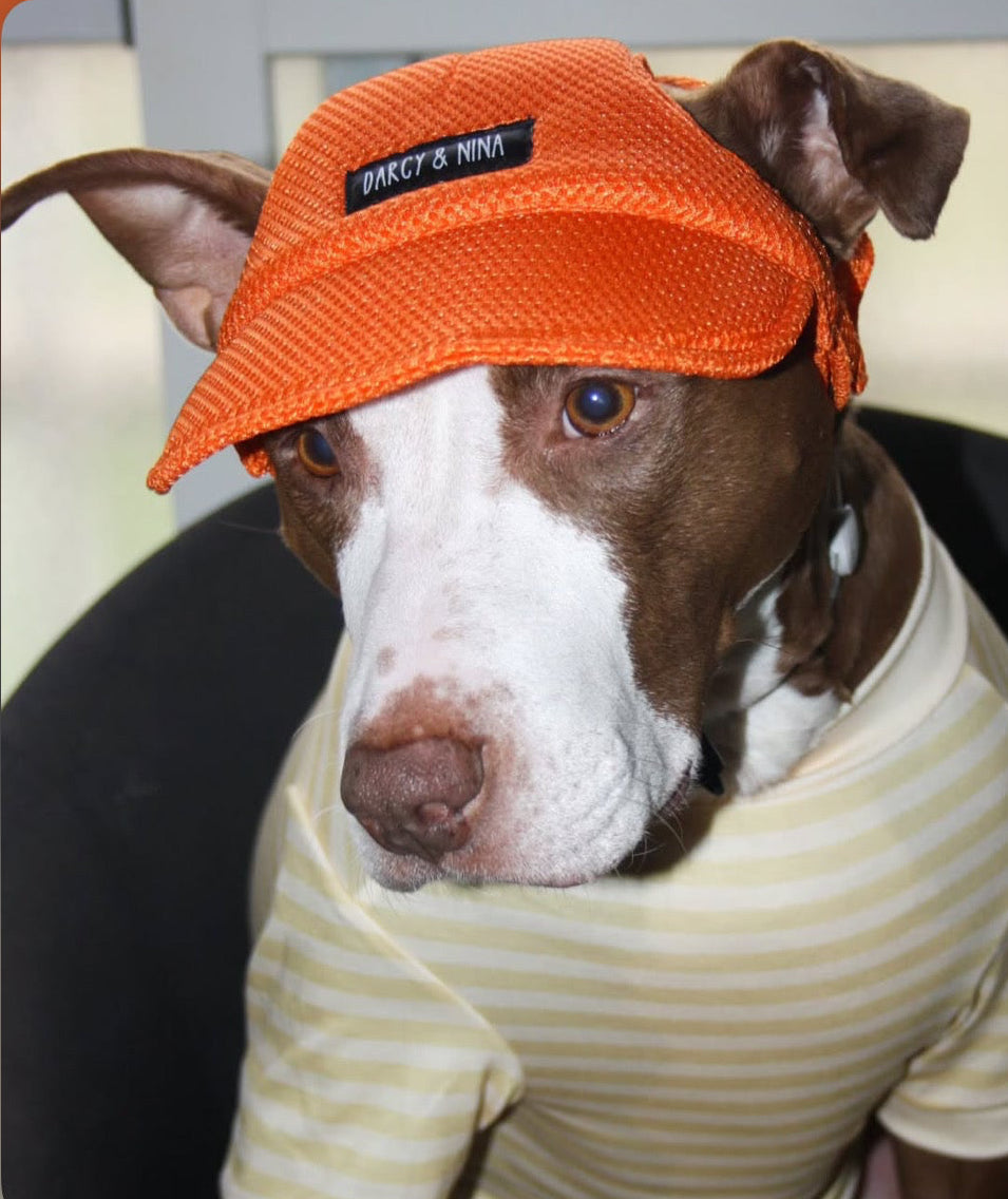 Gorra Transpirable Urban Mesh