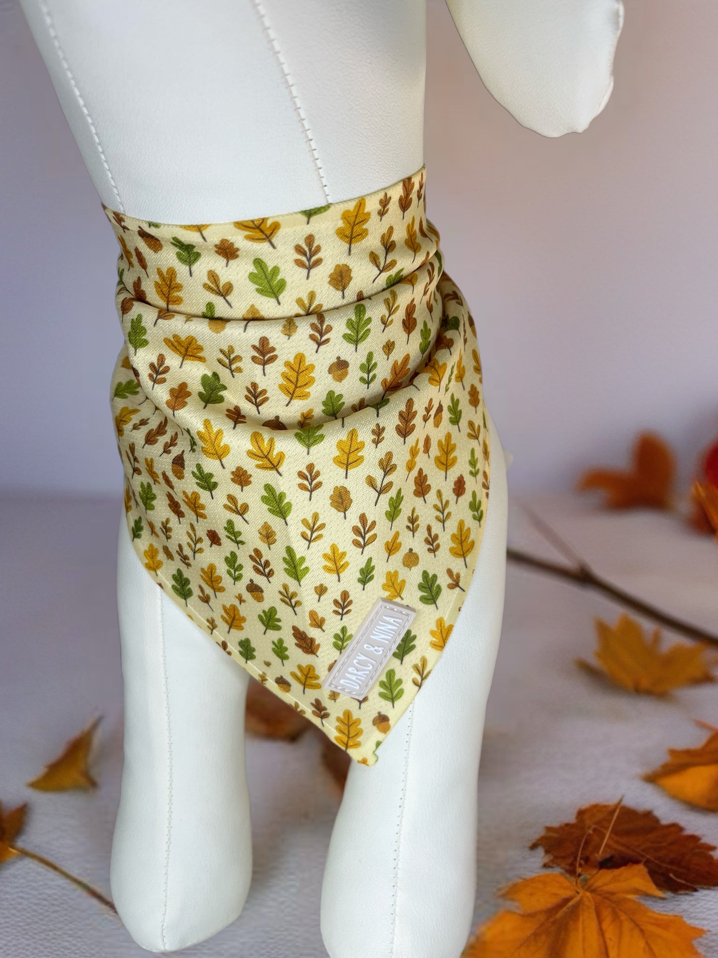 Bandana Autumn Walk - Darcy & Nina