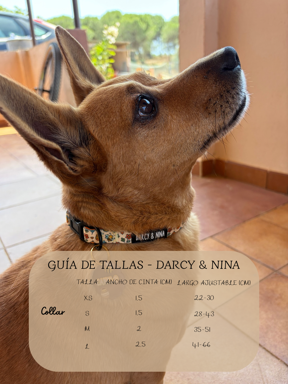 Collar Honey Bloom - Darcy & Nina