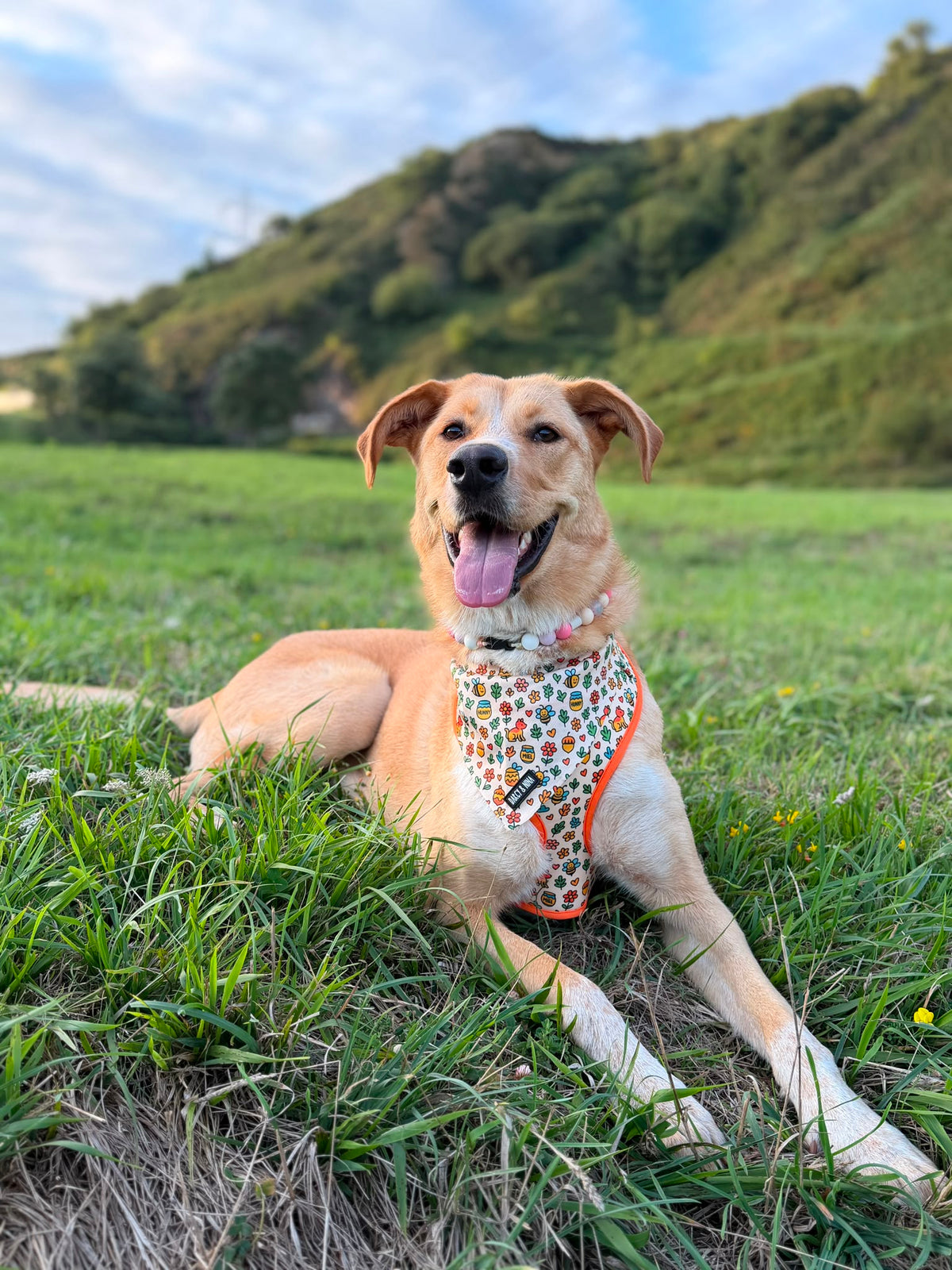 Bandana Honey Bloom - Darcy & Nina