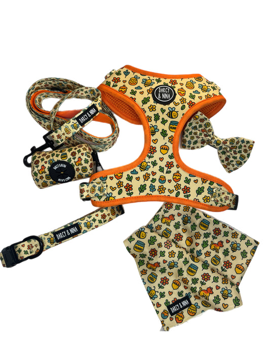 Pack Honey Bloom - Darcy & Nina