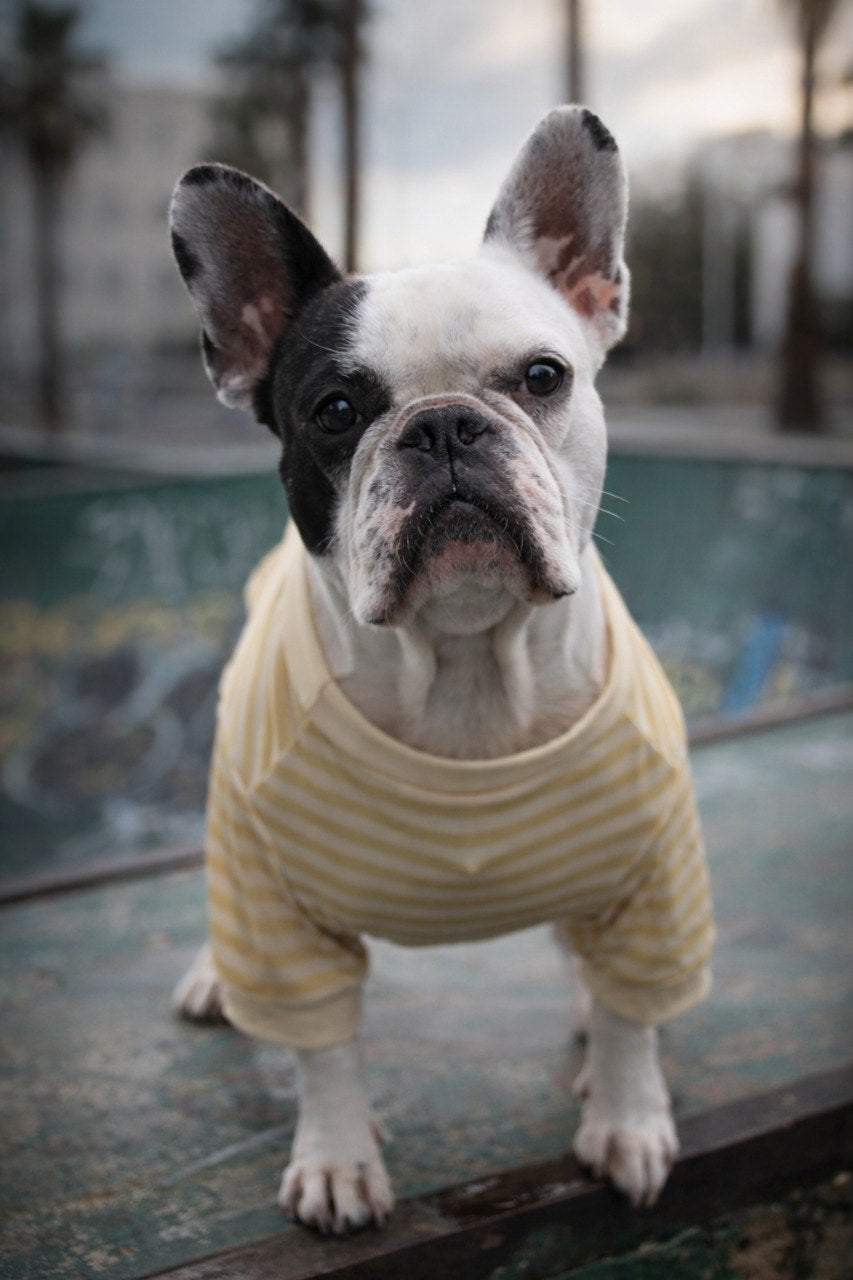 Camiseta Sunny Stripes