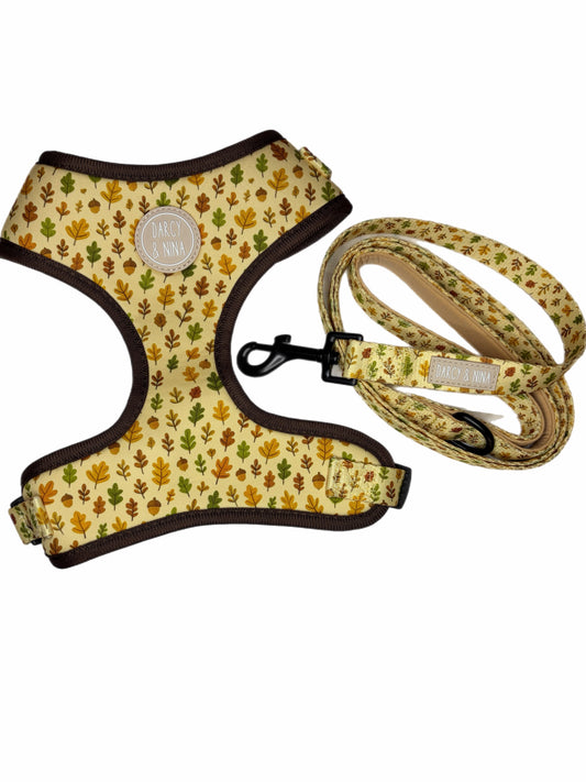 Pack Paseo Esencial - Autumn Walk