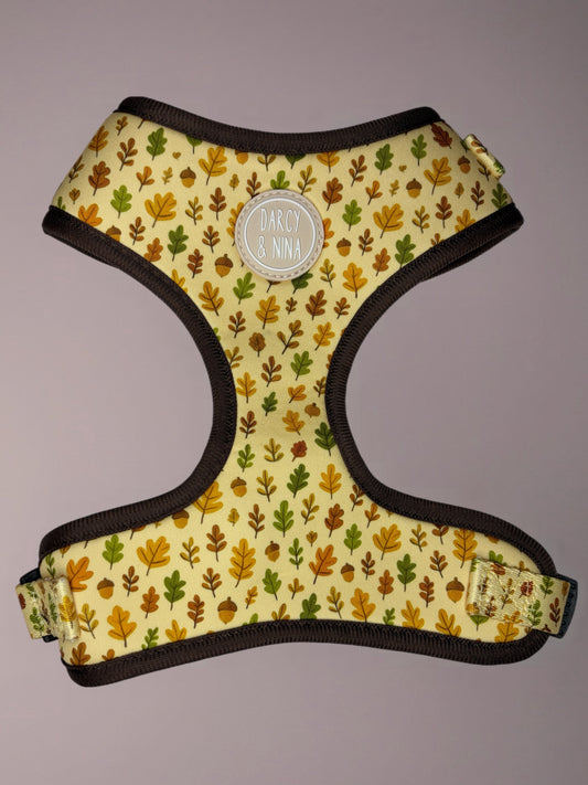 Pack Paseo Esencial - Autumn Walk