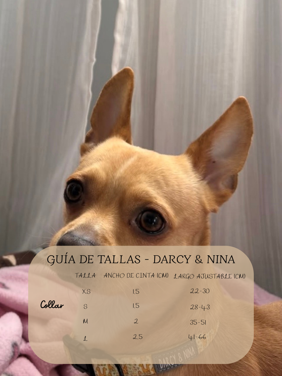Collar Safari Giraffe - Darcy & Nina