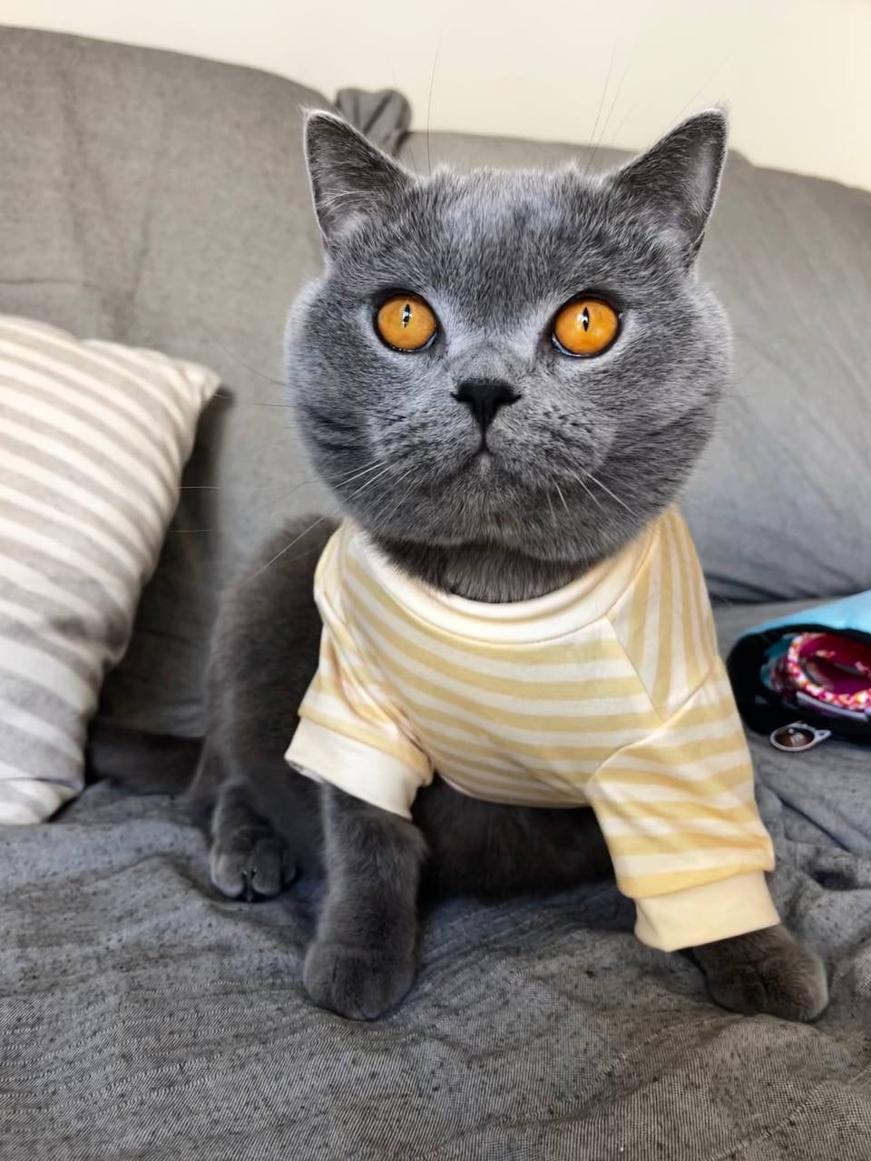 Camiseta Sunny Stripes