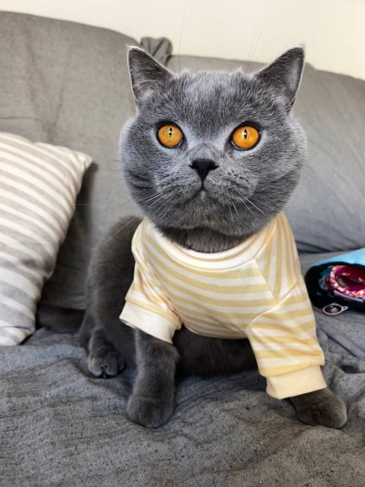 Camiseta Sunny Stripes