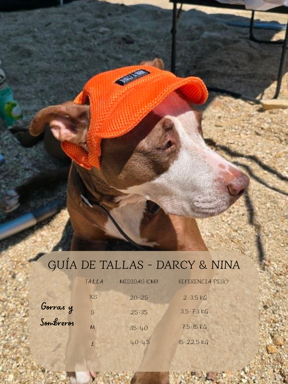 Gorra Transpirable Urban Mesh - Darcy & Nina