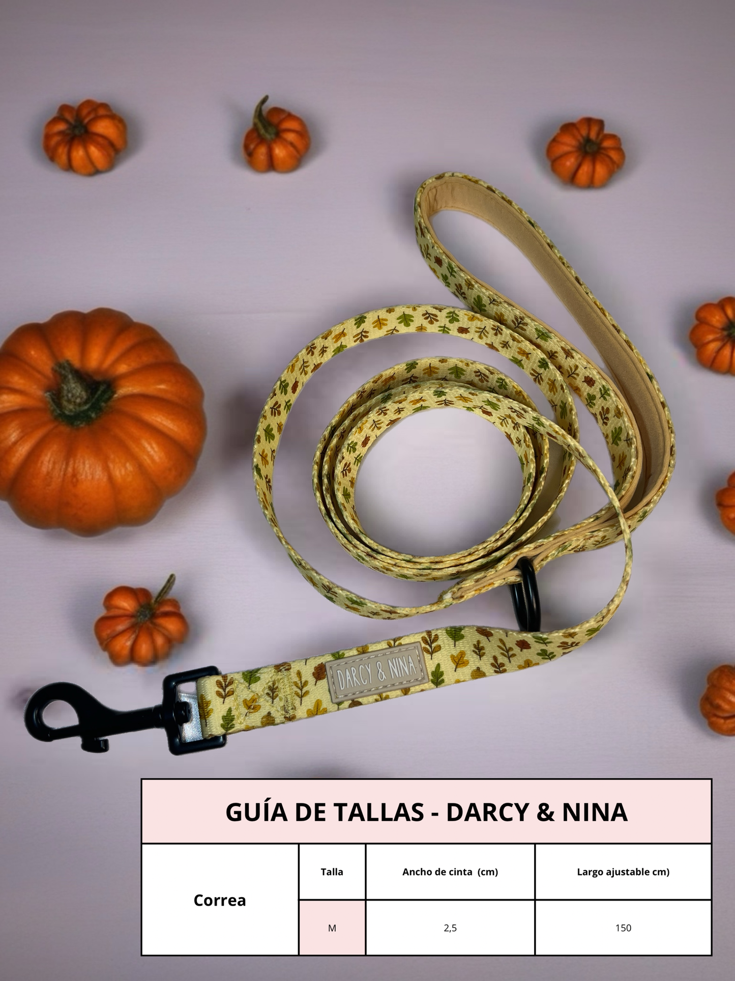 Correa Autumn Walk - Darcy & Nina