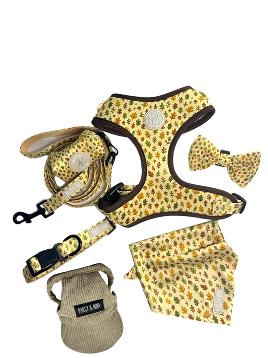 Pack Autumn Walk - Darcy & Nina