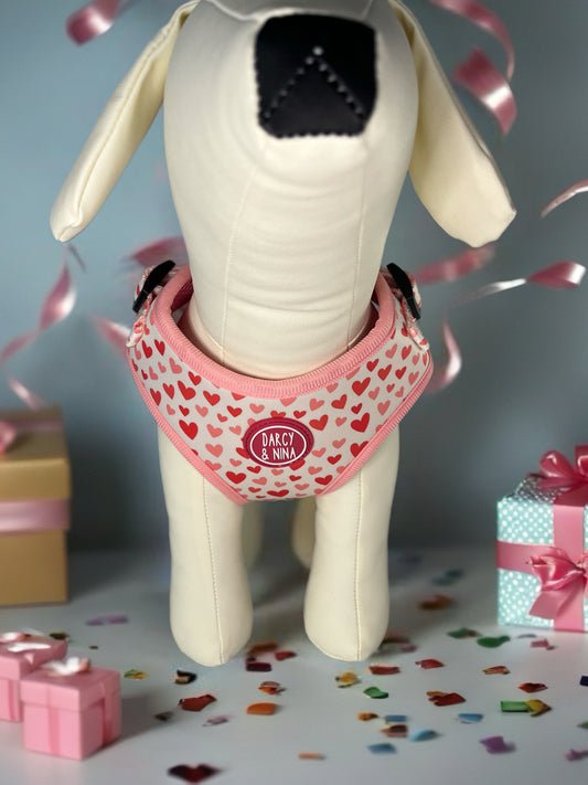 Arnés Sweet Love - Darcy & Nina