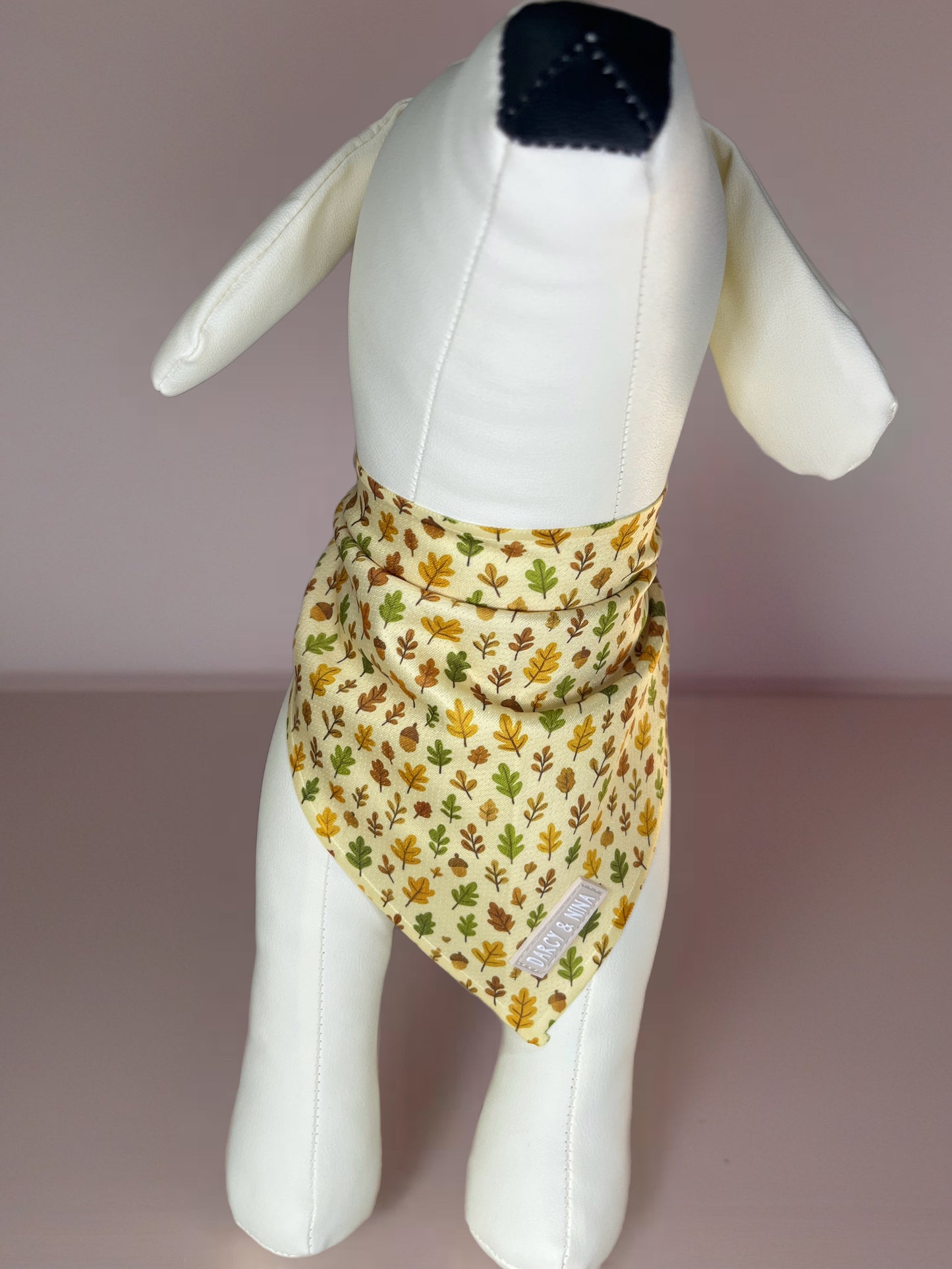 Bandana Autumn Walk - Darcy & Nina