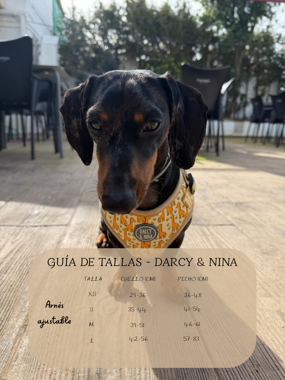 Arnés Safari Giraffe - Darcy & Nina