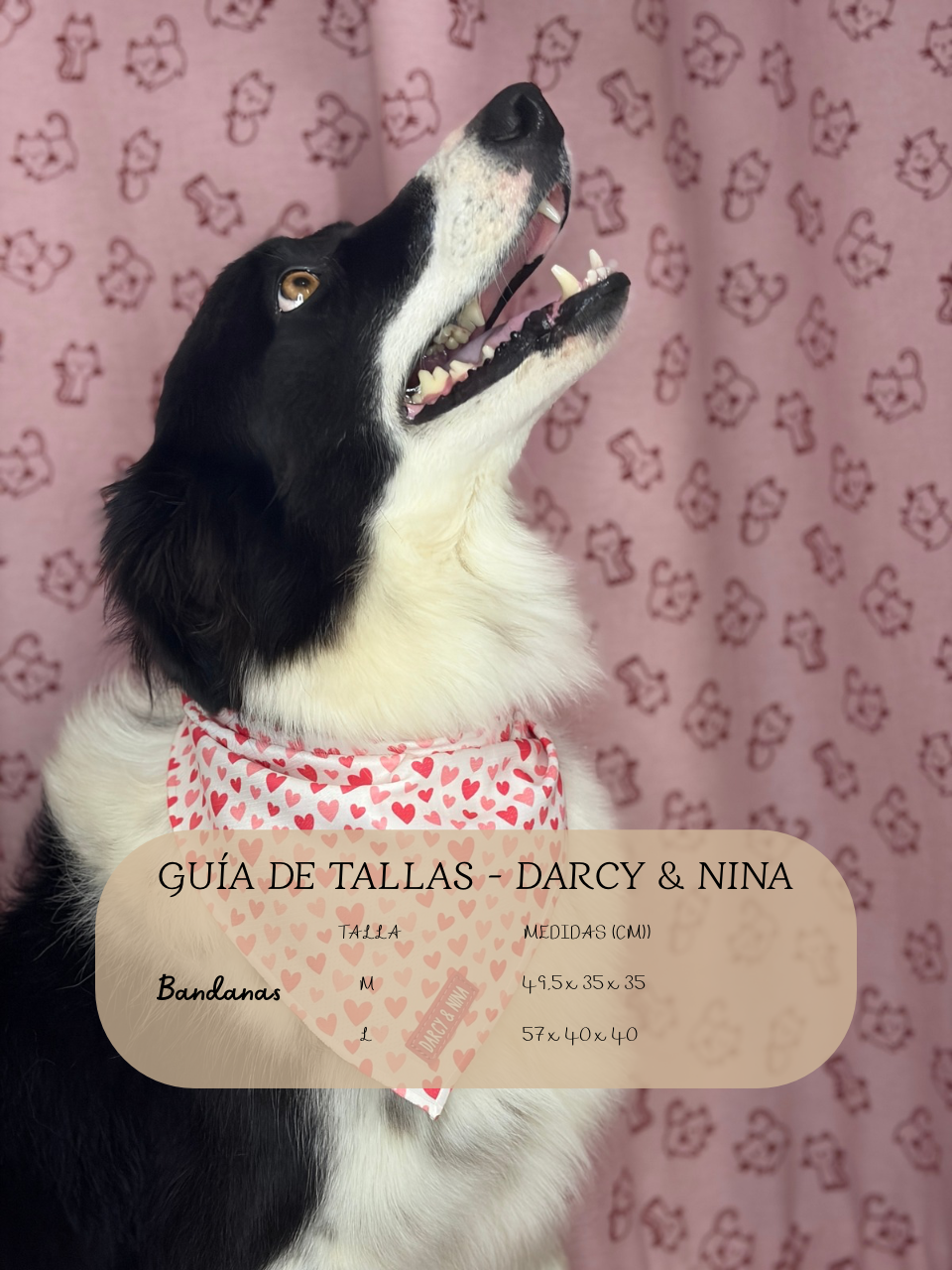 Bandana Sweet Love - Darcy & Nina