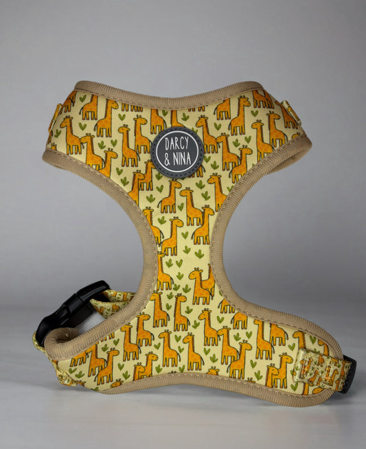 Pack Paseo Esencial - Safari Giraffe