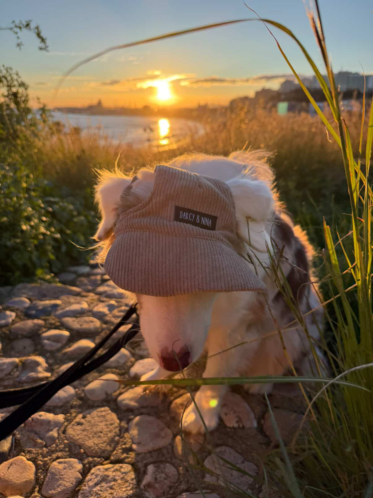 Gorra Autumn Walk - Darcy Nina